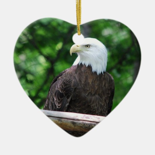 Bald Eagle Bird Ornament (Voorkant)