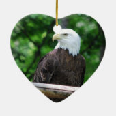 Bald Eagle Bird Ornament (Achterkant)