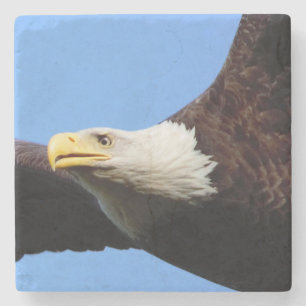 Bald Eagle Blue Sky Stenen Onderzetter