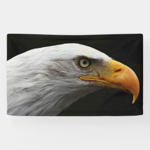 Bald Eagle bnrcna Spandoek
