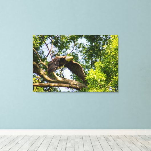 Bald Eagle Branch Takeoff Canvas Afdruk (Insitu (Houten vloer))