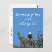 Bald Eagle Briefkaart (Voorkant / Achterkant)