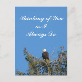 Bald Eagle Briefkaart