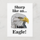 Bald Eagle Briefkaart (Voorkant)