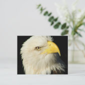 Bald Eagle Briefkaart (Staand voorkant)