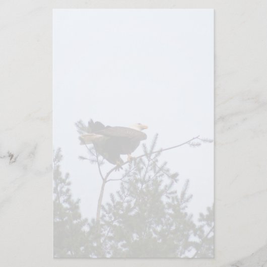 Bald Eagle Briefpapier (Voorkant)