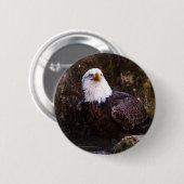 Bald Eagle Button (Voorkant /achterkant)