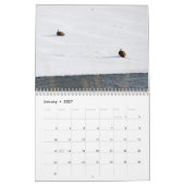 Bald Eagle Calendar Kalender (Jan 2027)
