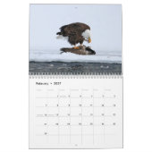 Bald Eagle Calendar Kalender (Feb 2027)