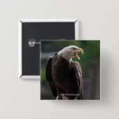 Bald Eagle Calling Vierkante Button 5,1 Cm (Voorkant /achterkant)