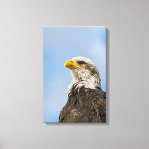 Bald Eagle Canvas Afdruk