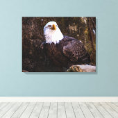 Bald Eagle Canvas Afdruk (Insitu (Houten vloer))