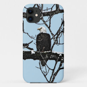 Bald Eagle iPhone 11 Hoesje