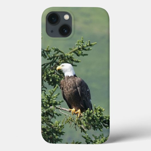 Bald Eagle Case-Mate iPhone Case (Achterkant)