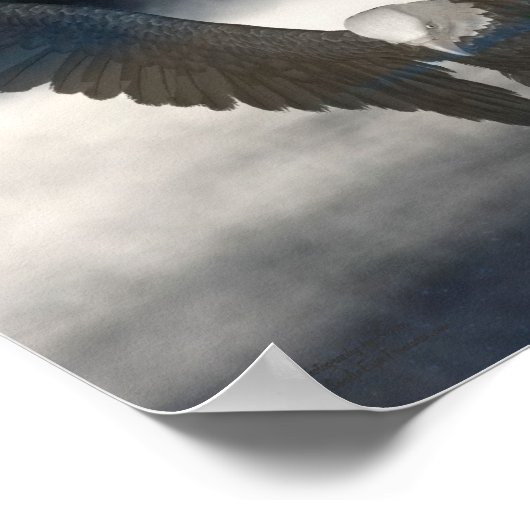 Bald Eagle Cattails Mist Pond Fantasy Art Poster (Hoek)