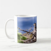 Bald Eagle Chick - Mugs (Gauche)