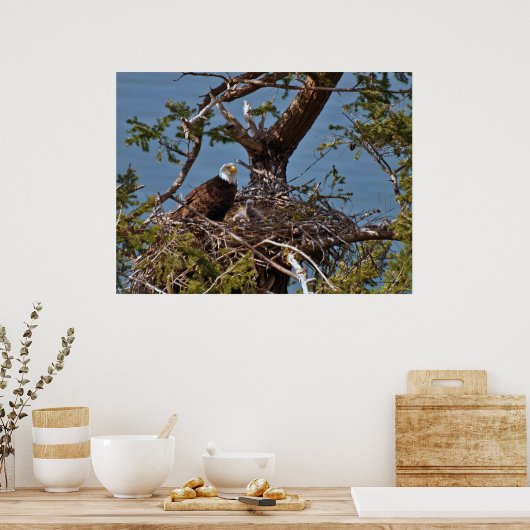 Bald Eagle Chicken - Fine Art Prints (Keuken)