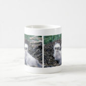 Bald Eagle Chicken Koffiemok (Center)