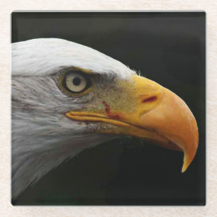 Bald Eagle coastercn Glazen Onderzetter