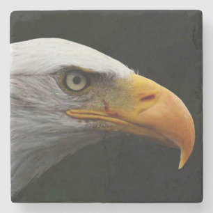 Bald Eagle coastercn Stenen Onderzetter
