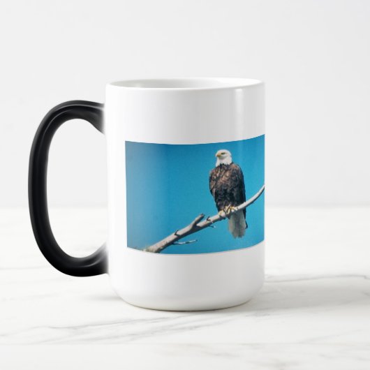 Bald Eagle Color Morphing Mug (Gauche)