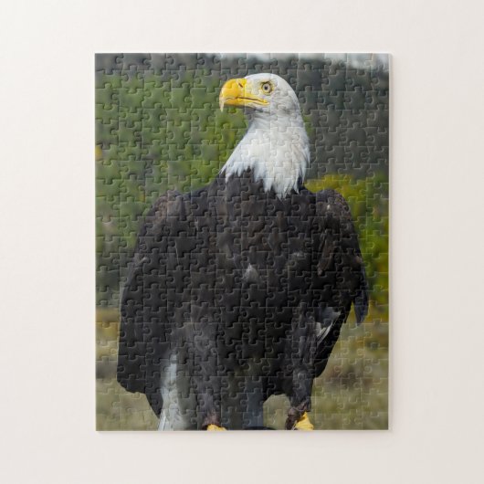 Bald Eagle Colorado. Legpuzzel (Verticaal)