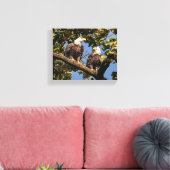 Bald Eagle Couple Canvas Afdruk (Insitu (Woonkamer))