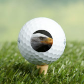 Bald Eagle css gbcna Golfballen (Insitu Shirt)