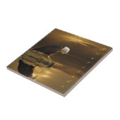 Bald Eagle Dankbaarheid Decoratieve Tegel Tegeltje (Zijkant)