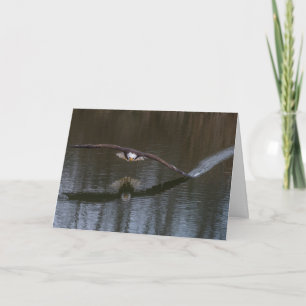 Bald Eagle dans la carte de voeux en vol