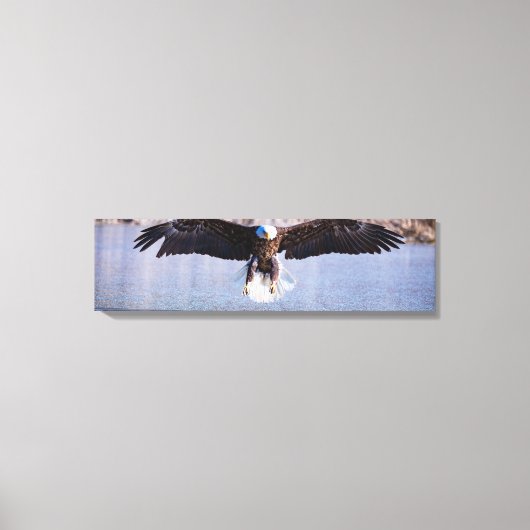 Bald Eagle Daytime Hunting Over Lake Canvas Print (Voorkant)