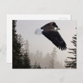 Bald Eagle die door de mist trekt Briefkaart (Voorkant / Achterkant)