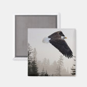 Bald Eagle die door de mist trekt Magneet (Voorkant / Achterkant)