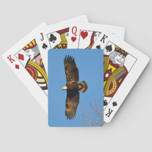 Bald Eagle die over bomen trekt Pokerkaarten