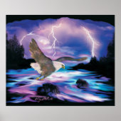 Bald Eagle die over het Poster loopt (Voorkant)