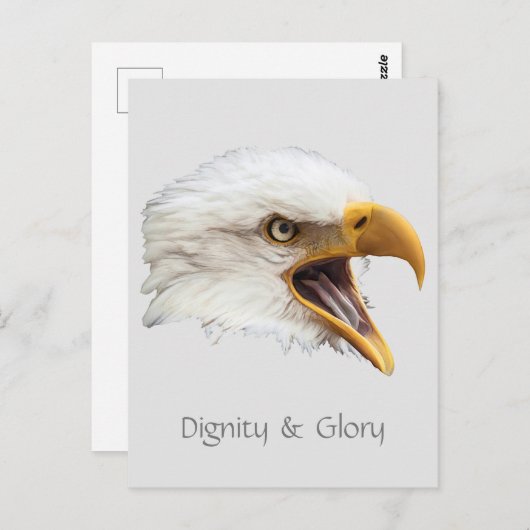 Bald Eagle Dignity & Glory aanpasbaar Briefkaart (Voorkant / Achterkant)