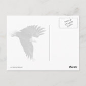 Bald Eagle Dive Briefkaart (Achterkant)