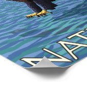 Bald Eagle Diving - Glacier National Park, MT Poster (Hoek)