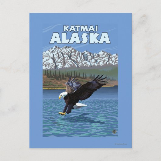 Bald Eagle Diving - Katmai, Alaska Briefkaart (Voorkant)