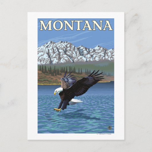 Bald Eagle Diving - Montana Briefkaart (Voorkant)