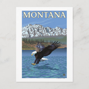 Bald Eagle Diving - Montana Briefkaart