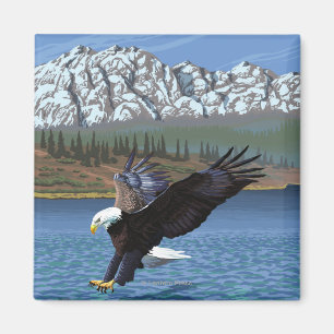 Bald Eagle Diving - Nationaal Park Yellowstone Magneet
