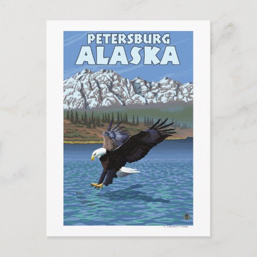 Bald Eagle Diving - Petersburg, Alaska Briefkaart (Voorkant)