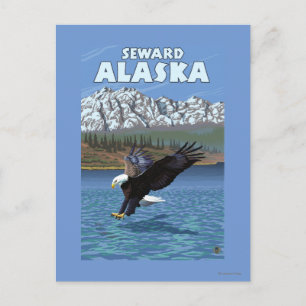 Bald Eagle Diving - Seward, Alaska Briefkaart