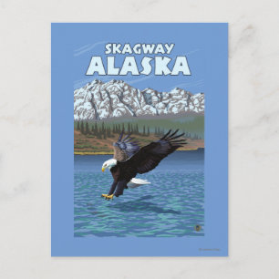 Bald Eagle Diving - Skagway, Alaska Briefkaart
