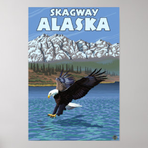 Bald Eagle Diving - Skagway, Alaska Poster