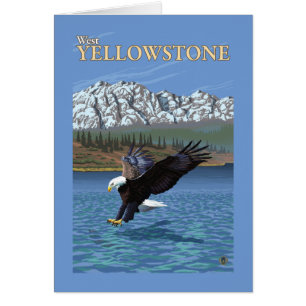 Bald Eagle Diving - West Yellowstone, MT