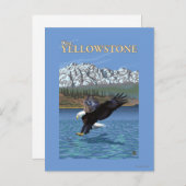 Bald Eagle Diving - West Yellowstone, MT Briefkaart (Voorkant / Achterkant)