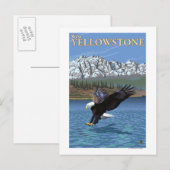 Bald Eagle Diving - West Yellowstone, MT Briefkaart (Voorkant / Achterkant)