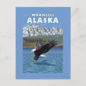 Bald Eagle Diving - Wrangell, Alaska Briefkaart (Voorkant)